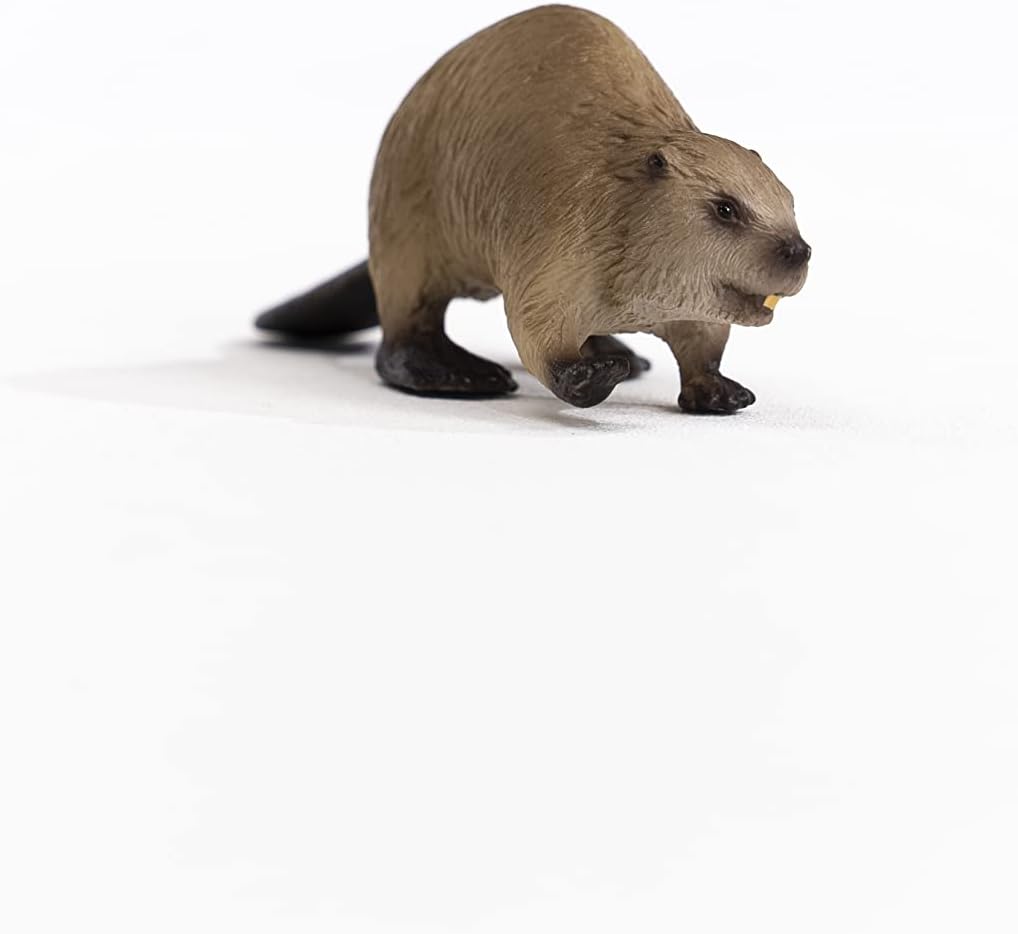 Schleich 14855 Beaver Figurine - Realistic Wildlife Animal Toy for Kids, 10 x 3 x 3 cm