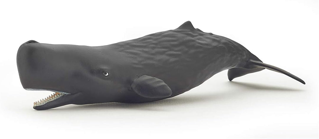 Papo 56045 Sperm Whale Calf Marine Life Figurine - Realistic Hand-Painted Ocean Animal Toy for Kids and Collectors