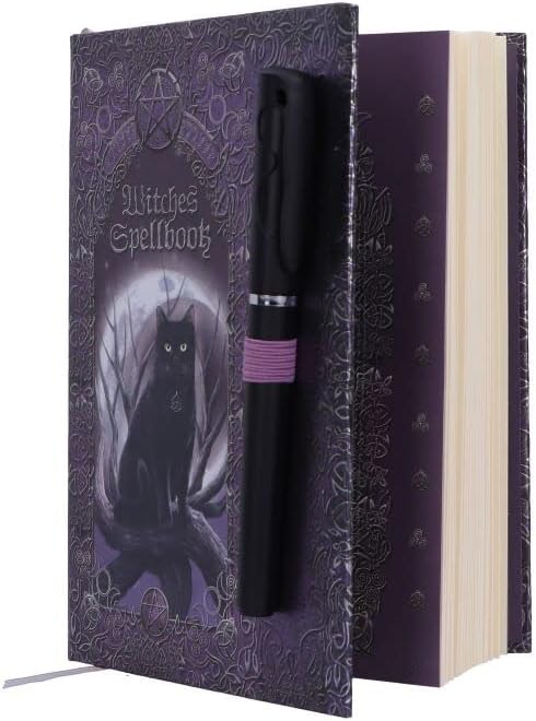 Nemesis Now Witches Spell Book with Pen Journal 18cm Purple