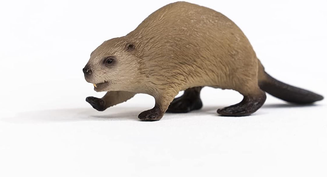 Schleich 14855 Beaver Figurine - Realistic Wildlife Animal Toy for Kids, 10 x 3 x 3 cm