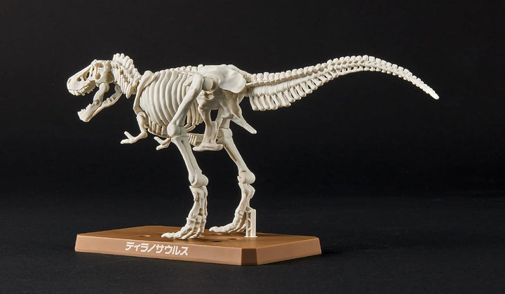 BANDAI SPIRITS New Dinosaur Plastic Model Tyrannosaurus (Provi) - Color-Coded Model Kit for Dinosaur Enthusiasts