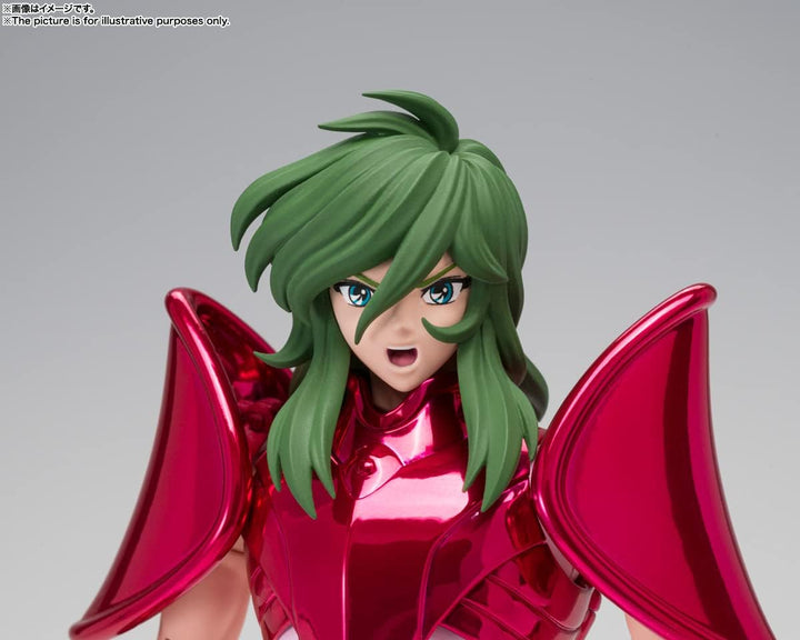 Tamashi Nations - Saint Seiya: The Hades Chapter - Sanctuary - Andromeda Shun [F