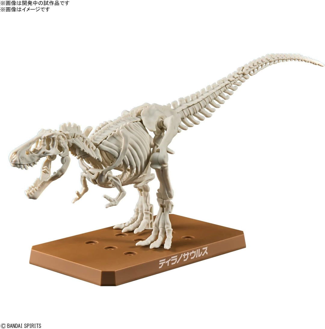 BANDAI SPIRITS New Dinosaur Plastic Model Tyrannosaurus (Provi) - Color-Coded Model Kit for Dinosaur Enthusiasts