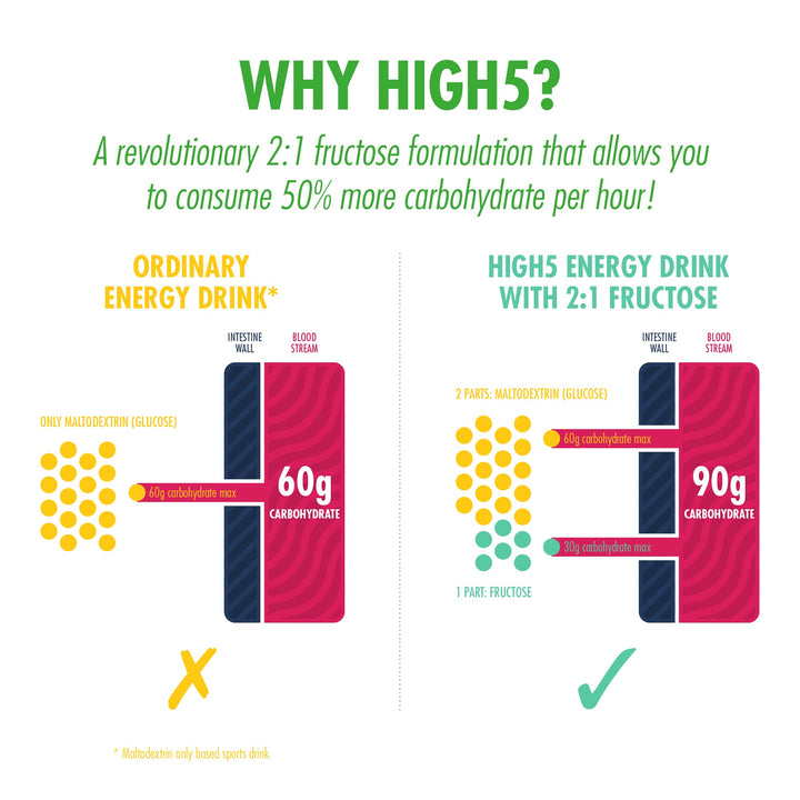 HIGH5 - Energy Drink With Protein Blend of Carbohydrates, Protein & Electrolytes (Citrus, 1.6kg)