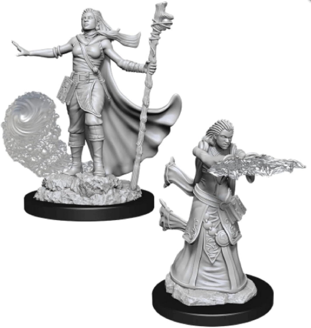 WizKids Druid (V2) Accessories (WK72639)