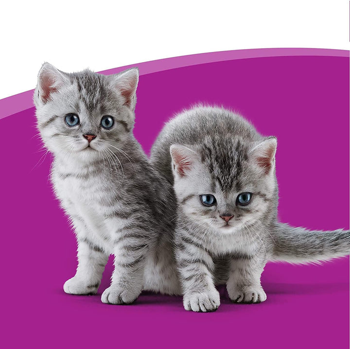 Whiskas Kitten 2-12 Months Milky Treats 55g - Crunchy & Soft Cat Snacks for Healthy Growth