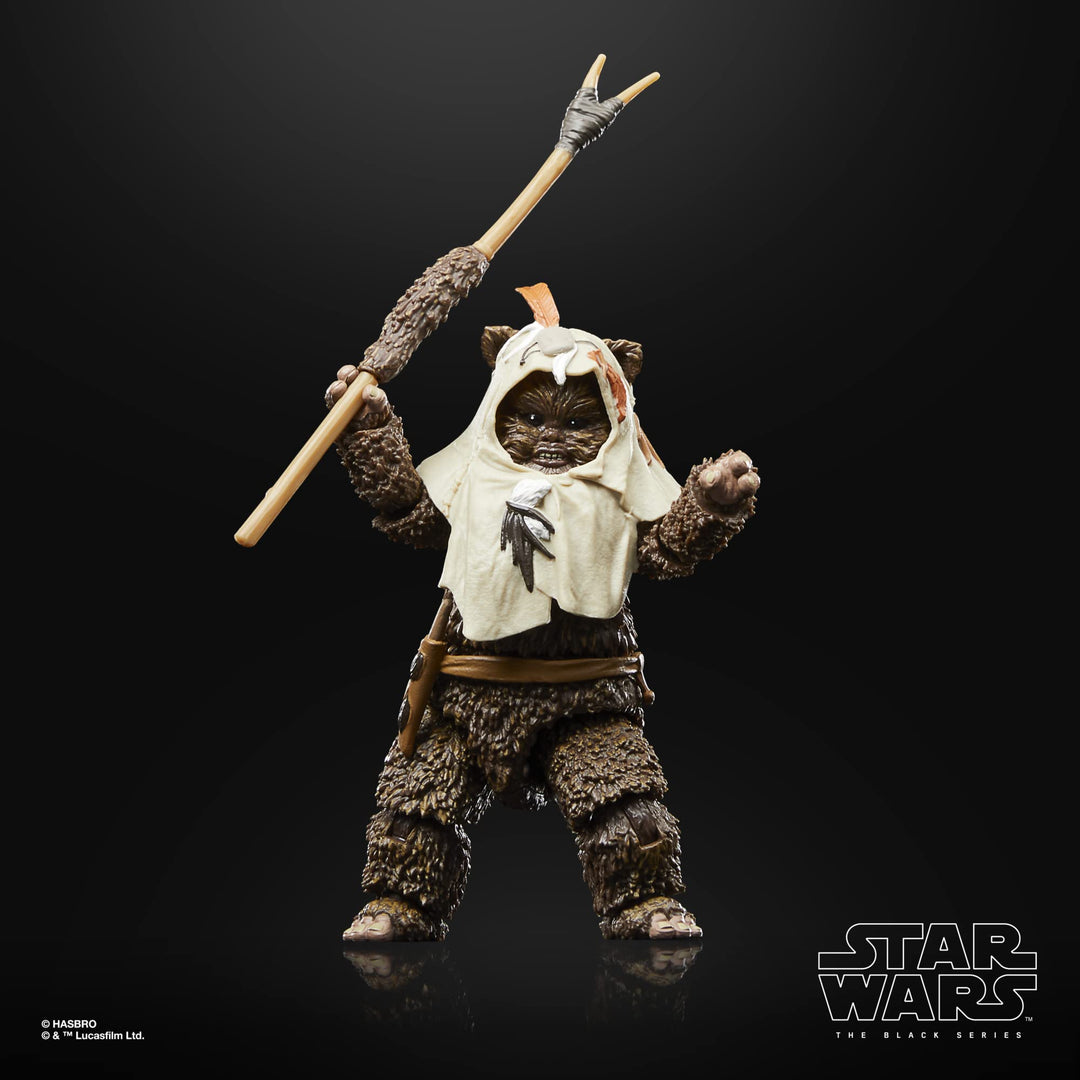 Star Wars The Black Series Return of the Jedi - Paploo 6-Inch Action Figure (5010996135551)