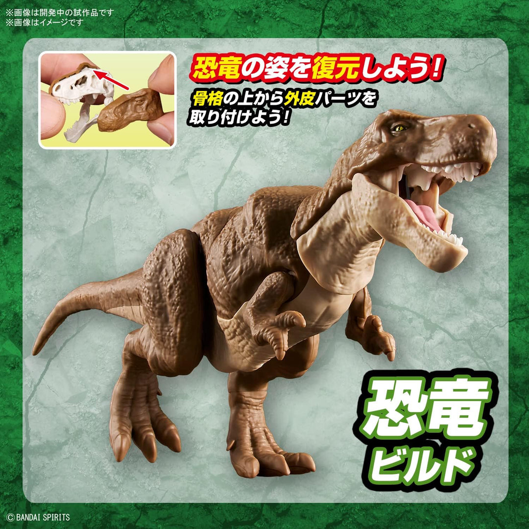 BANDAI SPIRITS New Dinosaur Plastic Model Tyrannosaurus (Provi) - Color-Coded Model Kit for Dinosaur Enthusiasts