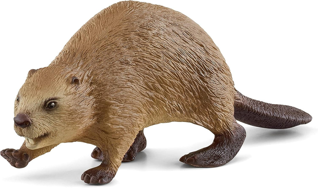 Schleich 14855 Beaver Figurine - Realistic Wildlife Animal Toy for Kids, 10 x 3 x 3 cm