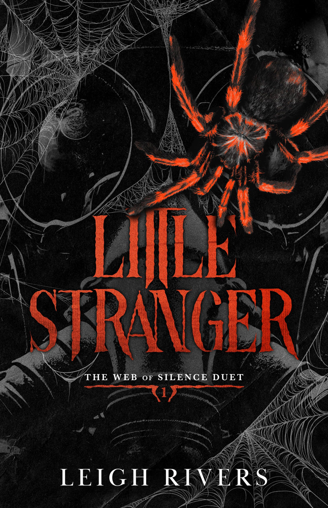 Little Stranger: A Dark Taboo Romance (The Web of Silence Duet Book 1)