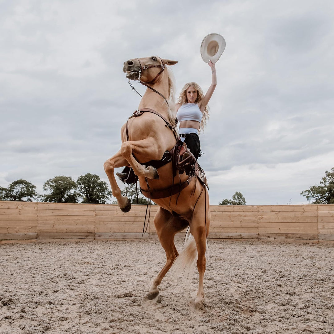 Emotional Rodeo [VINYL]