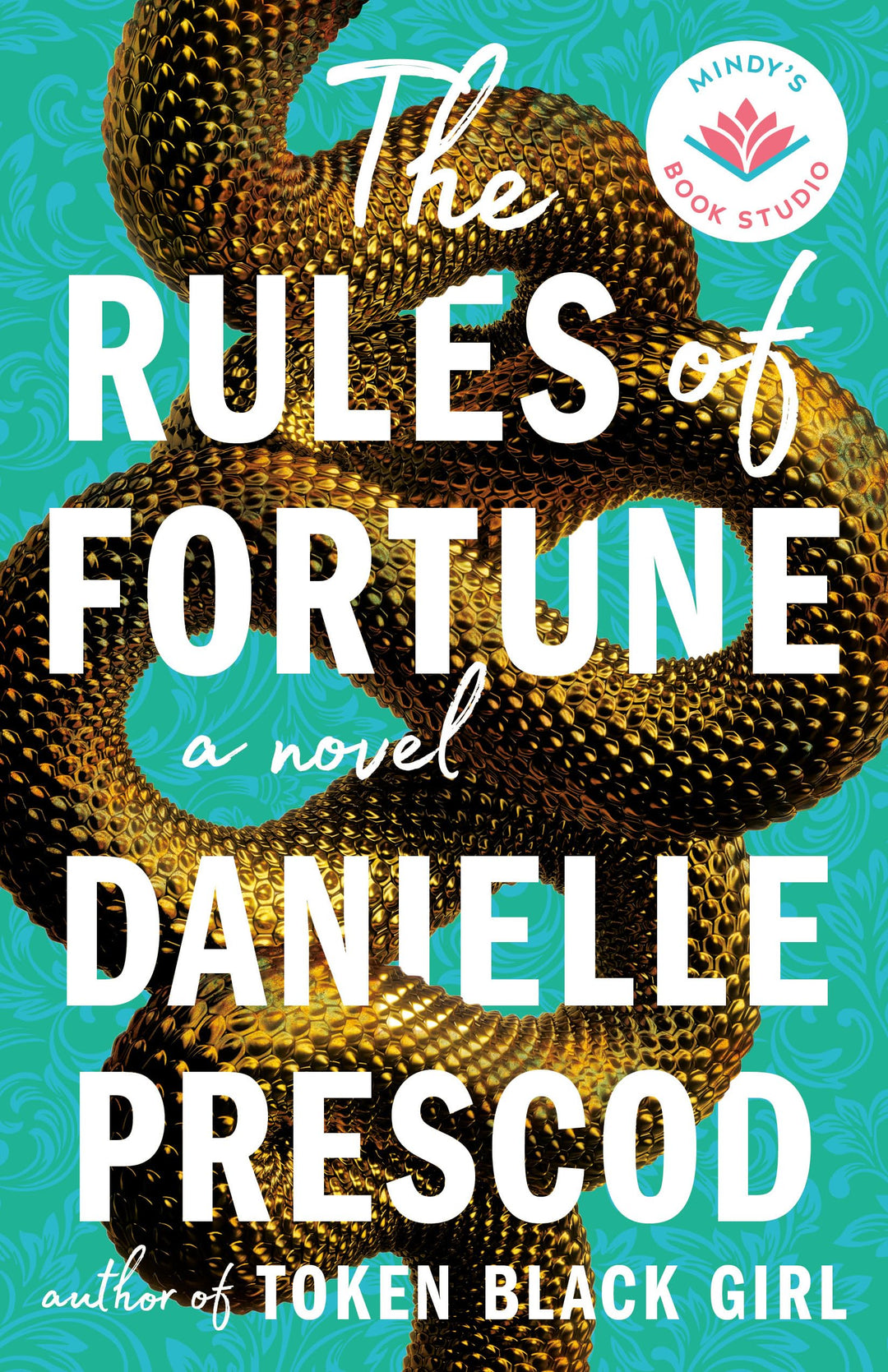 The Rules of Fortune: A Novel - Mindy's Book Studio (Paperback)