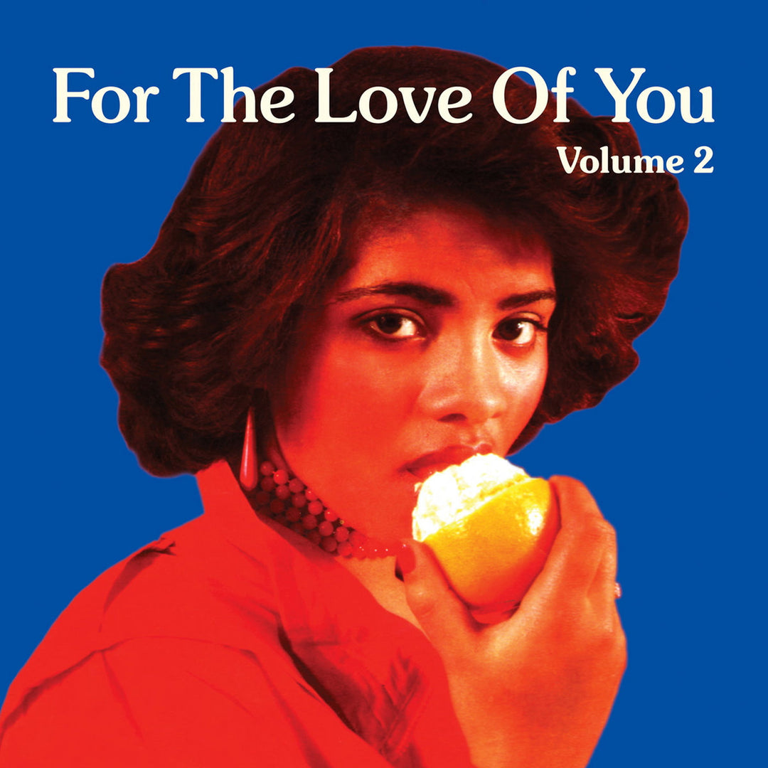 Zusammenstellung – For the Love of You Vol.2 [Audio CD]