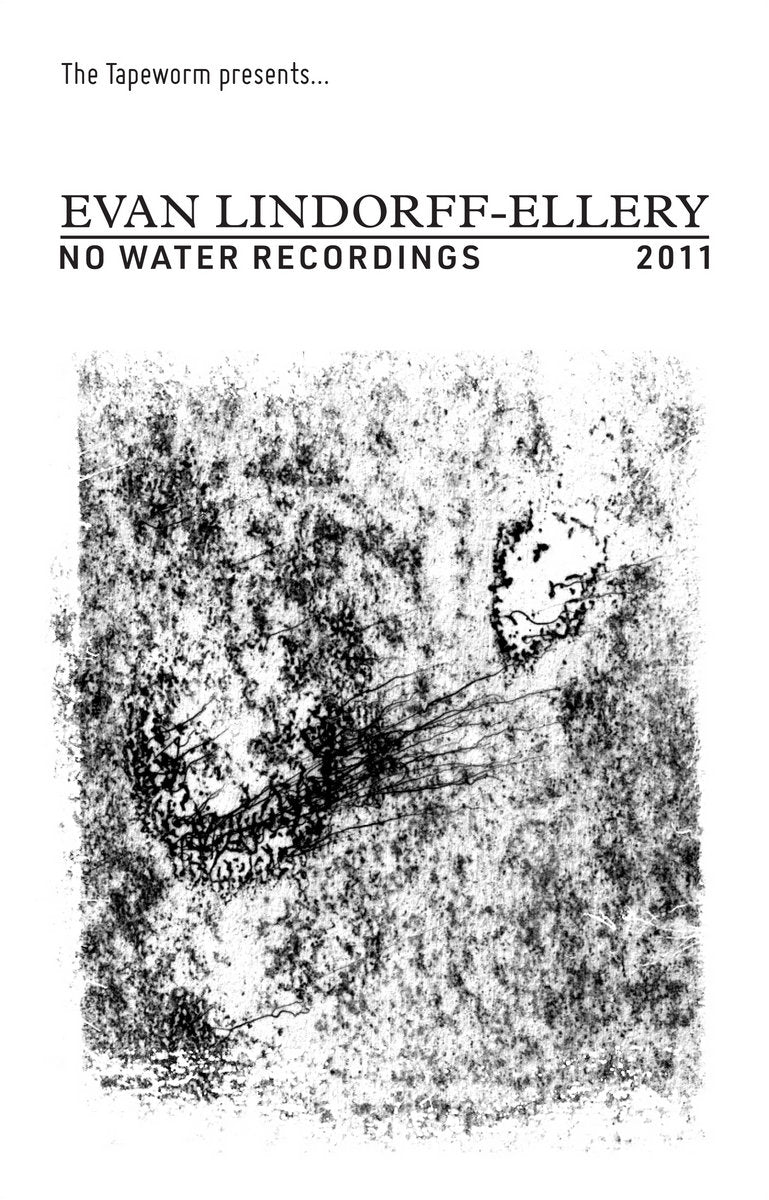 No Water Recordings 2011 [Audiokassette]