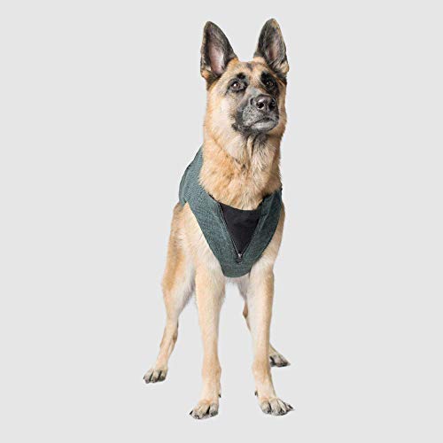 Canada Pooch Cp01826 Northern Strickpullover Grün Größe 18