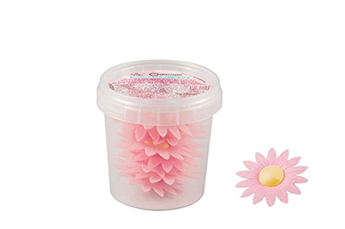 Silikomart Daisy 10 Gänseblümchen-Set von Ostia