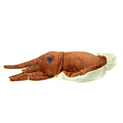 Wild Planet K8378 Cuttlefish 35Cm All About Nature, Multi-Colour, 35 cm