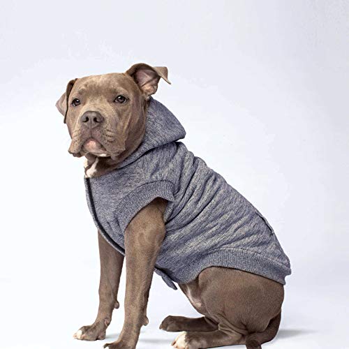 Canada Pooch Cozy Caribou Hoodie Marled Dog Coat, Size 10, Grey