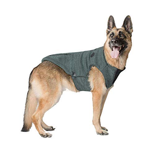 Canada Pooch Cp01826 Northern Knit Sweater Green Size 18