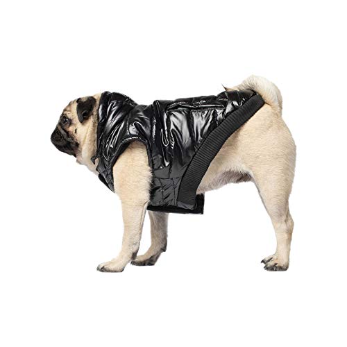 Canada Pooch CP01745 Nordpol-Parka, glänzend schwarz, Größe 10