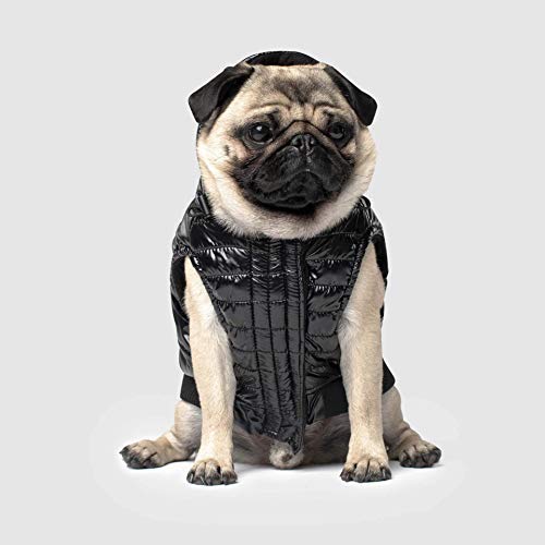 Canada Pooch CP01745 Nordpol-Parka, glänzend schwarz, Größe 10