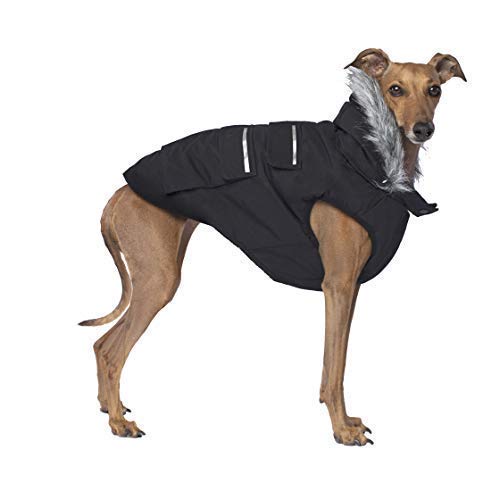 Kanada POOCH T18 Explorer Hundejacke Schwarz