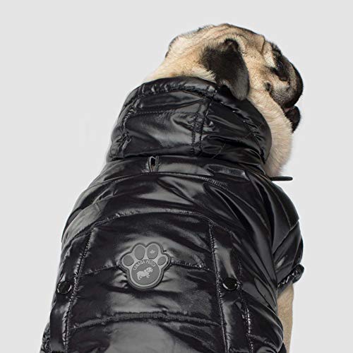 Canada Pooch Cp01751 Nordpol Parka Schwarz Glanz Größe 20