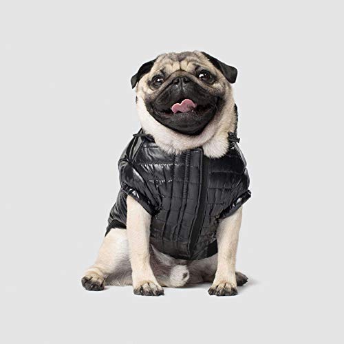 Canada Pooch Cp01751 Nordpol Parka Schwarz Glanz Größe 20