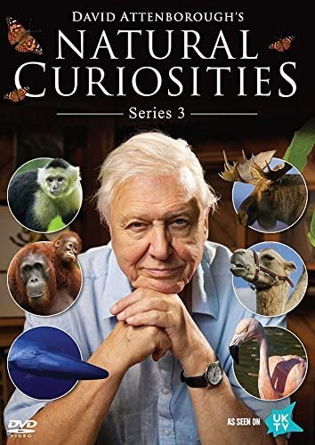 David Attenboroughs Natural Curiosities – Serie 3 – [DVD]