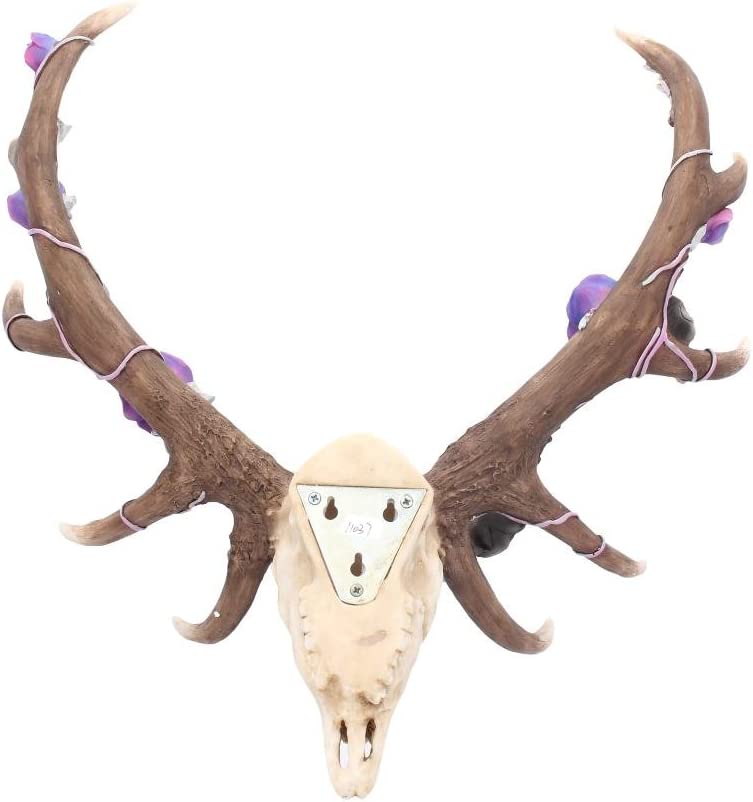 Nemesis Now Antlers of Eden Wandschild, 45 cm, Weiß, Polyresin