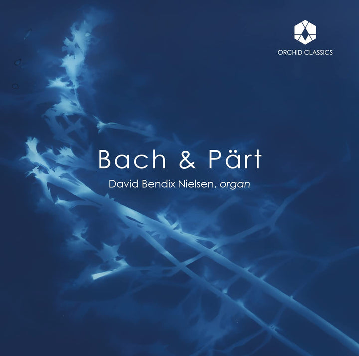 Bach/Stimme: Orgelwerke [David Bendix Nielsen] [Orchid Classics: ORC100197] [Audio CD]