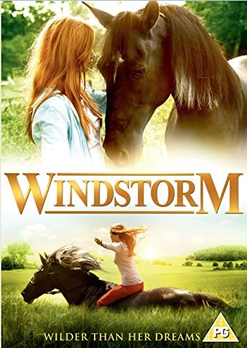 Windsturm [DVD]