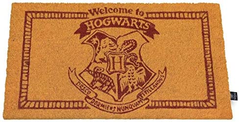 HARRY POTTER Fußmatte „Welcome To Hogwarts“, offizielle Merchandising-Referenz von DD Home Textiles, Unisex, für Erwachsene, Mehrfarbig (Mehrfarbig), Einzelbett