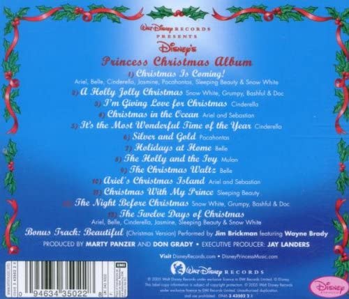 Disney Princess Christmas - Marty Panzer [Audio-CD]