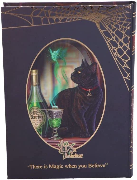 Nemesis Now Lisa Parker Absinthe-Tagebuch, mehrfarbig, 17 cm