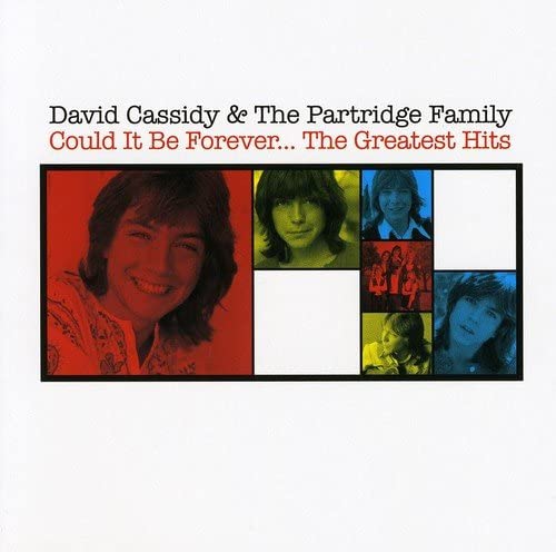 Could It Be Forever – The Greatest Hits – David Cassidy The Partridge Family [Audio-CD]