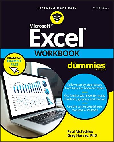 Excel-Arbeitsmappe für Dummies [Taschenbuch]