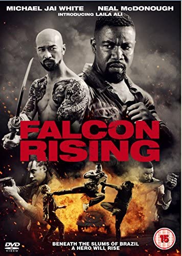 Falcon Rising – Action/Abenteuer [DVD]