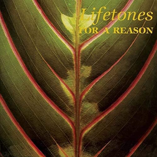 Lifetones – For A Reason [VINYL]