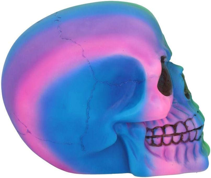 Nemesis Now U5084R0 Rainbow Skull 15.5cm, Polyresin, Multi-Coloured, One Size