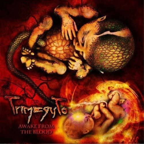 Trimegisto – Awake From Blood [Audio-CD]