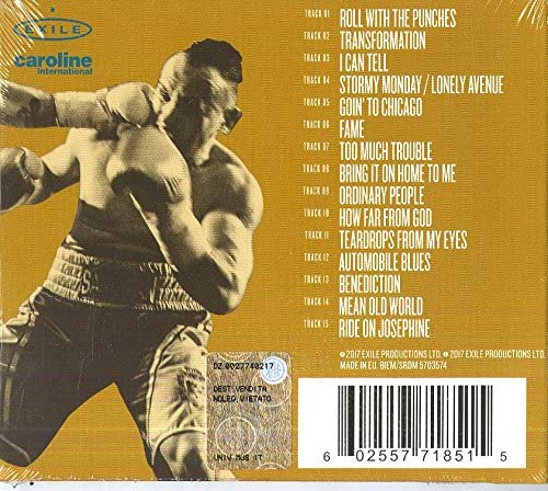 Roll With The Punches - Van Morrison [Audio CD]