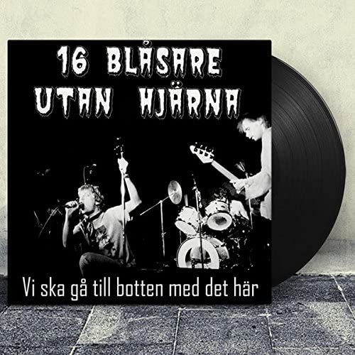 Vi Ska G Till Botten Med Det Hr [Vinyl]