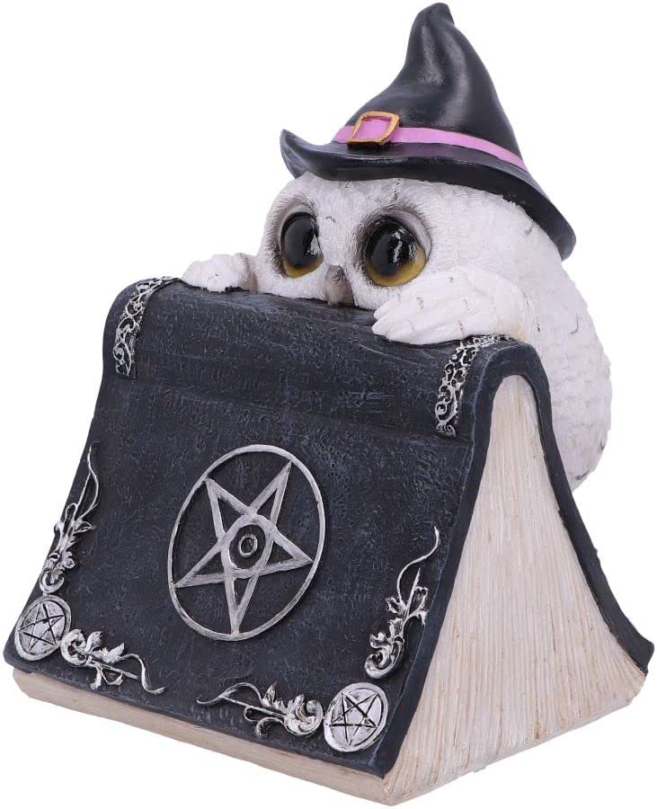 Nemesis Now Owl's Spell 15 cm, Schwarz