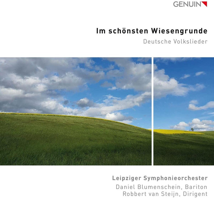 Im Schönsten Wiesengrunde [Leipziger Symphonieorchester; Daniel Blumenschein; [Audio-CD] 