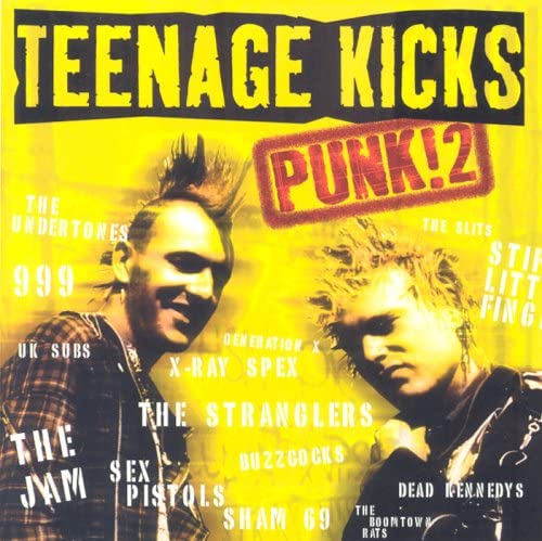 Teenage Kicks - Punk 2 [Audio-CD]