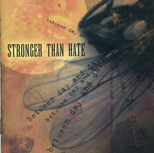 Stronger Than Hate - Between Day and Darkness [Audio CD]