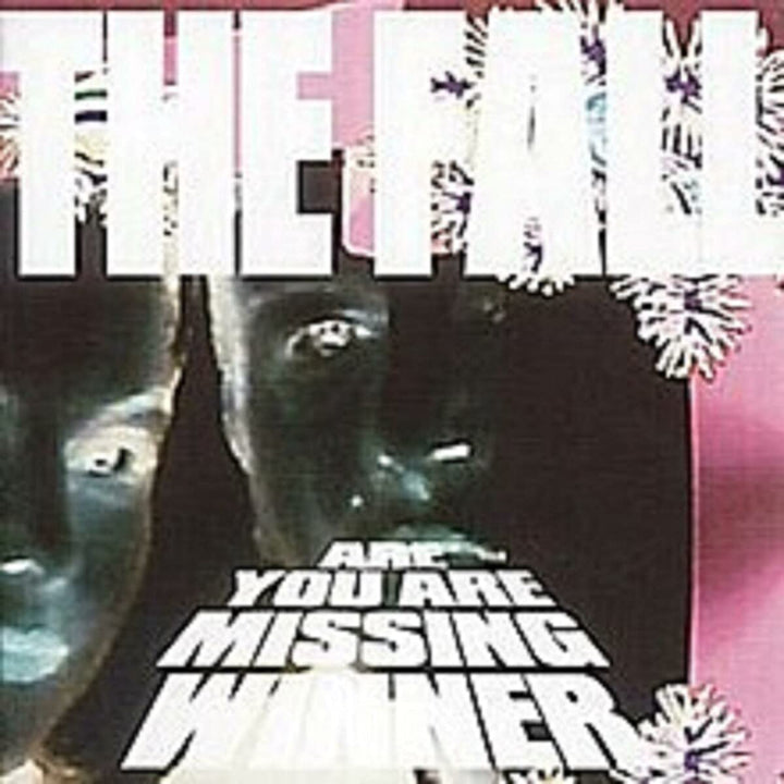 The Fall – Are You Are Missing Winnerexplicit_lyrics [Audio-CD]