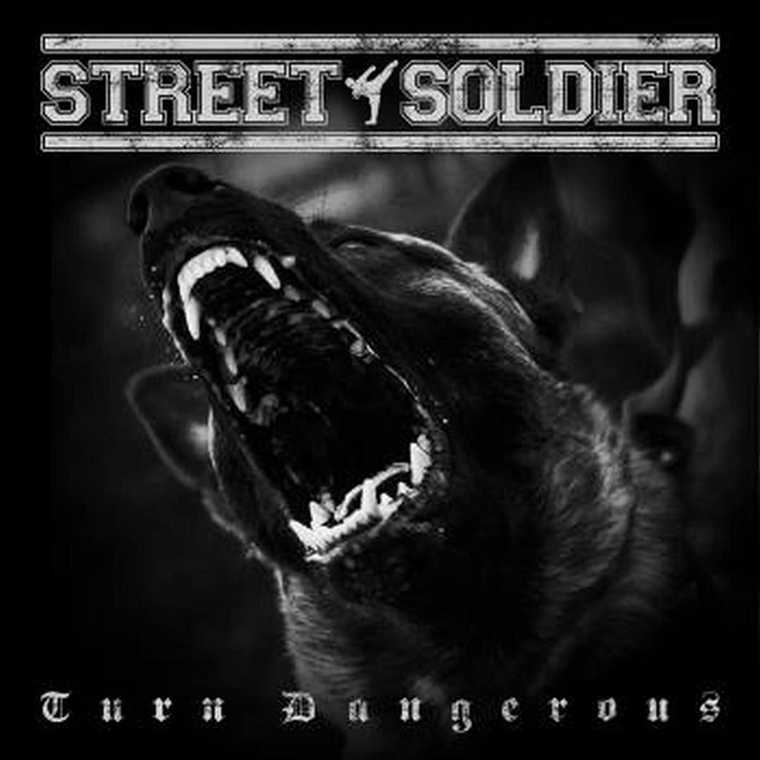 Street Soldier – Turn Dangerous [Audio-CD]