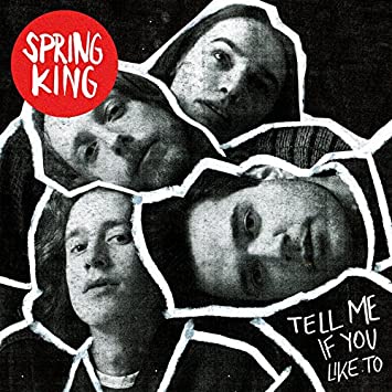 Spring King – Sag es mir, wenn du möchtest [Audio-CD]